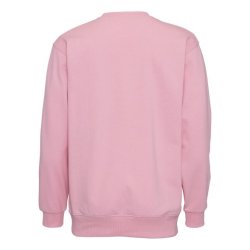 ST702 Heavy Sweat rose