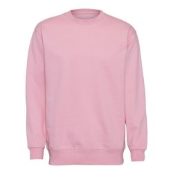 ST702 Heavy Sweat rose
