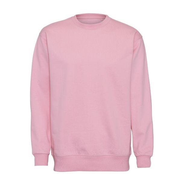 ST702 Heavy Sweat rose