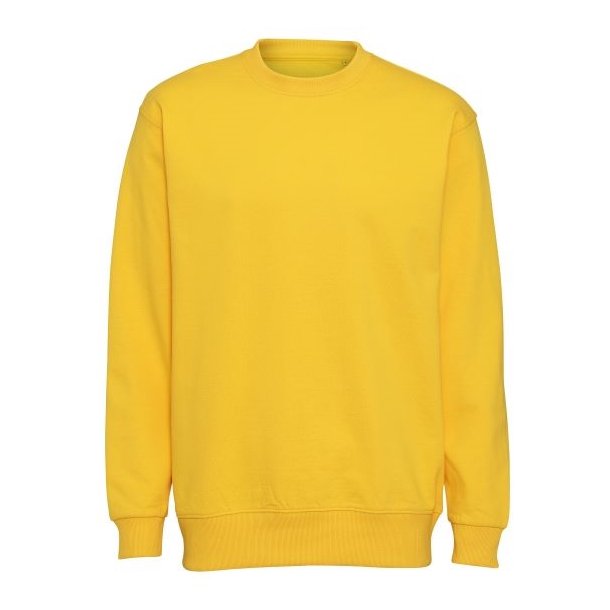 ST702 Heavy Sweat gul