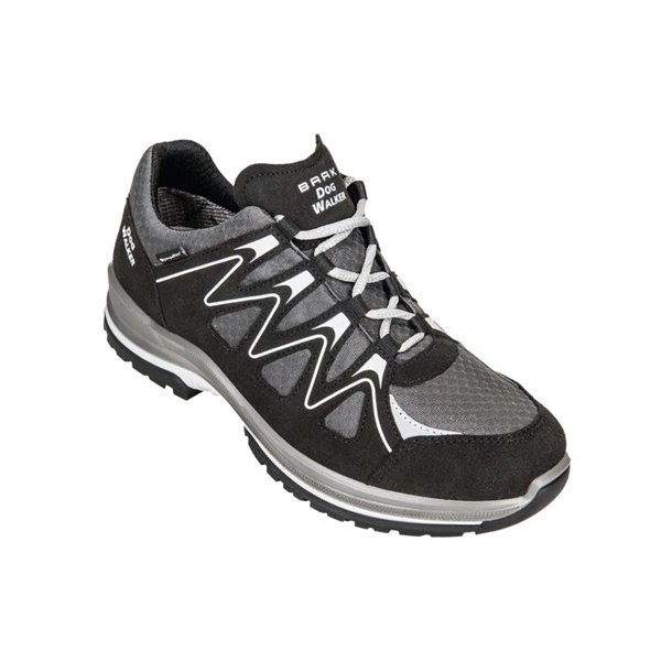 1031 Barry dogwalker sko