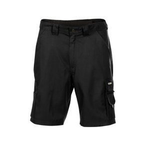 250011  Dassy� Bari sort