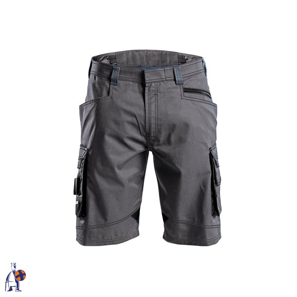 Dassy � Cosmic Sort/Gr�